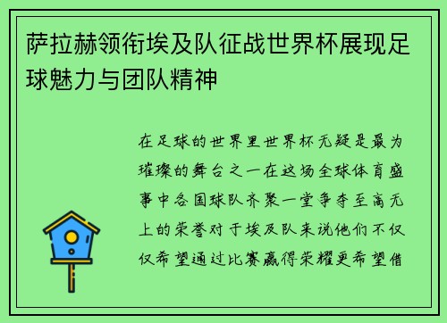 萨拉赫领衔埃及队征战世界杯展现足球魅力与团队精神